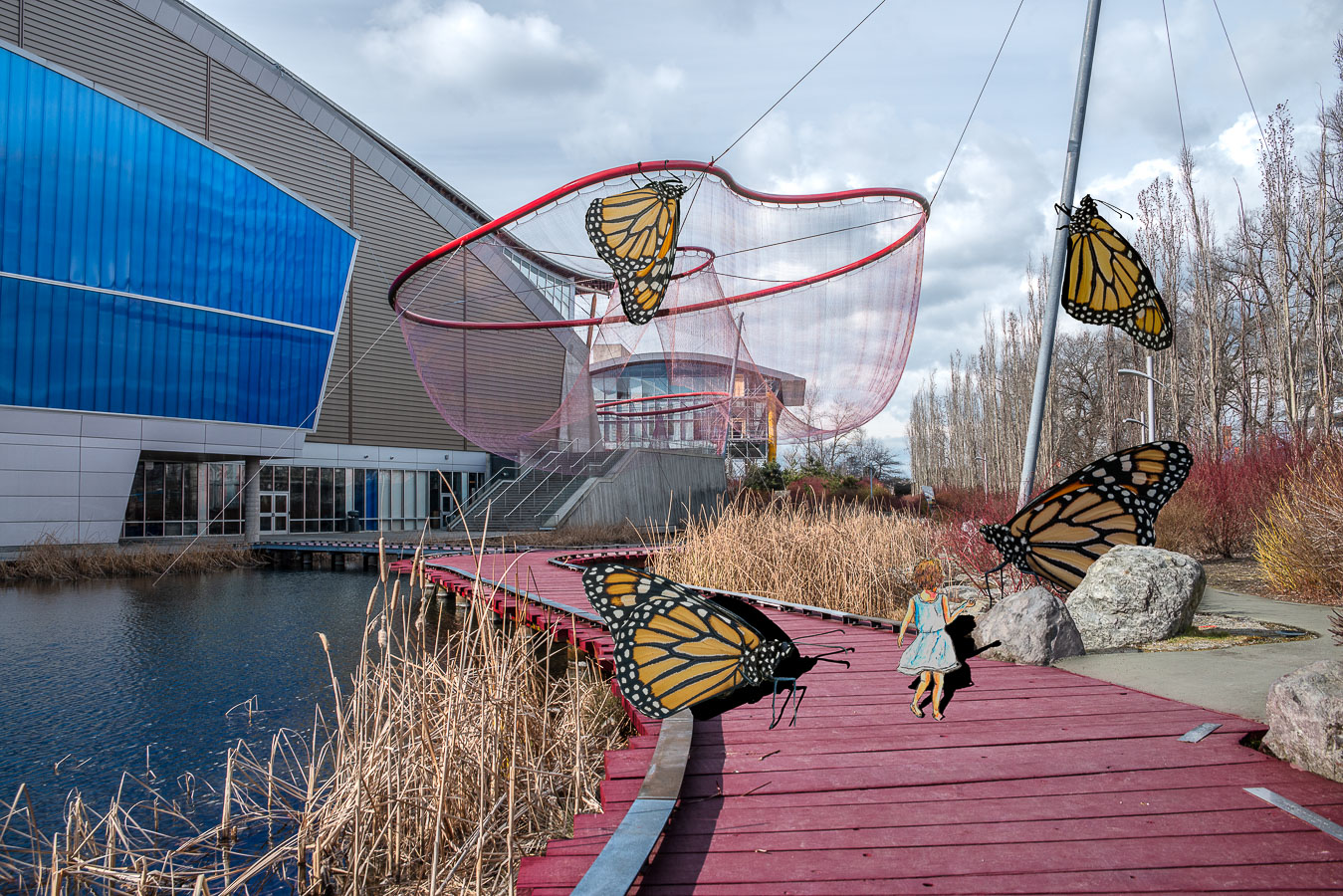 Butterflies-@-Olympic-Oval.jpg